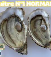 Le Termer - Huitres de Normandie IGP Saveurs de Normandie N°1