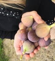 Domaine du Chillou - Figues Bio 250g