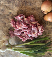 La Maison Pourthié - Sauté de volaille 1,4kg