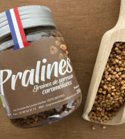 Les Graines de Louise - Pralines de Sarrasin Biologique pot 200g