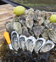 Huitres Damerose - Huitres naturelles de la Ria d'Etel n°2 - 5 kg