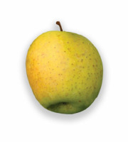 Pom Bio Berger - Pomme Délisdor Bio 1kg