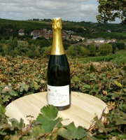 Domaine Doudeau-Leger - Bulles d'Ange - Méthode Traditionnelle Blanc Brut - 1 Bouteille