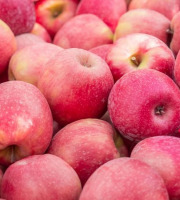 Nature et Saveurs - Ferme Aquaponique et Permacole Astérienne - Pomme Pink Lady — Croquant précis et fraîcheur longue