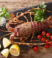Brest Marée - Langoustes Royales cuites - pièce de 1kg