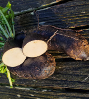 La Ferme de Goas Per - Radis noir bio - 500gr