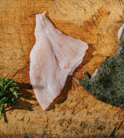 Côté Fish - Mon poisson direct pêcheurs - Filets De Turbot 300g