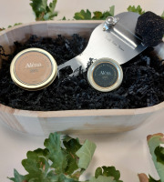 ALENA la Truffe d'Aquitaine - Coffret Truffe De Bourgogne Et Suprême