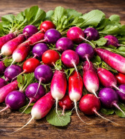 Nature et Saveurs - Ferme Aquaponique et Permacole Astérienne - Radis Mélange Fermier au Kg — couleurs & croquant du moment