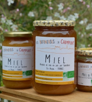 Les Butineuses de Champigny - Miel de Forêt Bio - 1000 g