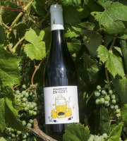 Domaine la Paganie - Vin Rouge nature - Démarrage en COT - 1 bouteille