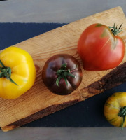 Ferme de Carcouet - Tomates Anciennes Bio - 1 kg