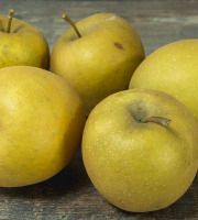 Le Châtaignier - Pomme Bertanne 1kg