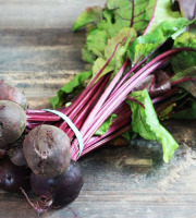 ChâteauFer - Betterave botte 500g