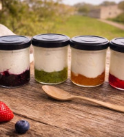 Ferme de l'Elanion - Lot de 4 Fromage Blanc Fruit Jaune