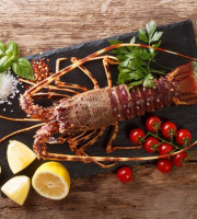 Poissonnerie Paon - Langouste rouge vivante : A la pièce, 1.8 kg - 2kg