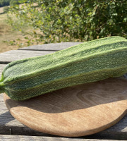Ferme Sinsac - Courgette verte variété Costata Romanesco 3 kg
