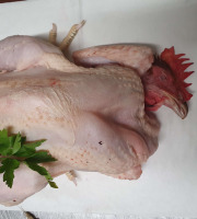 Ferme de la Paumerais - COQ JEUNE (x1) - 3 Kg