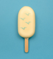 GT Designer Glacier - Esquimau Vanille / Caramel