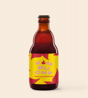 Omie - Kombucha aux feuilles de framboisier - 330 ml