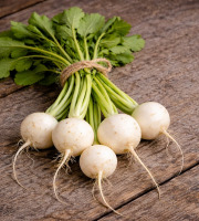 Nature et Saveurs - Ferme Aquaponique et Permacole Astérienne - Mini navets polaires gastronomiques – douceur et précision