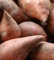 Les Champs Paradis - Patates Douce