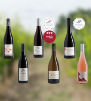 Domaine de la Chopinière du Roy - Coffret cadeau découverte des vins de Loire "Les 6 vins de Loire du Domaine" - 6 x 75 cl
