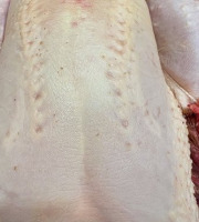 Ferme de la Paumerais - POULET DE LA FERME - 1,7 Kg (x1)