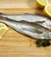 Brest Marée - Merlan - pièce de 350g