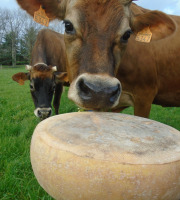 La Ferme de l'Abbaye - Fromage d'Abbaye : La Royale Du Berry En 10kg