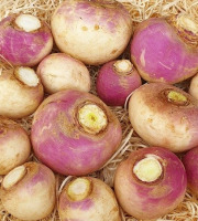 Les Champs Paradis - Navets "Primeur" Botte