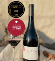 Domaine de la Chopinière du Roy - Vin rouge Saint Nicolas de Bourgueil - Cuvée Sous la Robe 2023 - 6x75cl