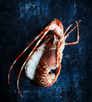 La Maison du Homard - Langouste rose mi-cuite en carapace coupée en 2