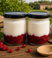 Gaec de l'Elanion - Lot de 2 Fromage Blanc Groseille