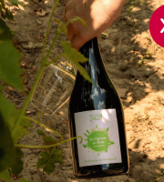 Domaine de la Perrée - Saint Nicolas de Bourgueil Rouge - Vignerons en Herbe