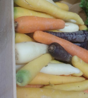 Le Châtaignier - Carottes couleurs - 5 Kg