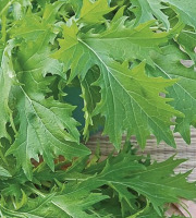 Ferme Sinsac - Mizuna bouquet de 100 grs