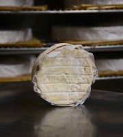 Alléosse Maitre Artisan Affineur Fromager - Tentation de Saint Félicien