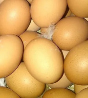 Ferme Joos - Boîte de 6 œufs gros calibres