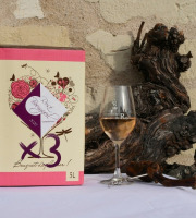 Domaine de la Chopinière du Roy - Lot de 3 BIB de vin rosé 2025 Sec et fuité 5 Litres