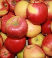 Le Châtaignier - Pomme Braeburn - 1kg