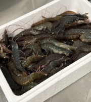 Agriloops - Gambas bretonnes fraîches 30/50 – 4 kg