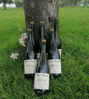 Domaine Fourmond Lemorton - Cidre Fermier Demi-Sec BIO x6