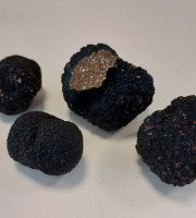 ALENA la Truffe d'Aquitaine - Truffe De Bourgogne Fraîche Tuber Uncinatum Morceau - 50g