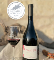 Domaine de la Chopinière du Roy - Vin rouge Saint Nicolas de Bourgueil - Cuvée Sous la Robe 2023 - 6x75cl