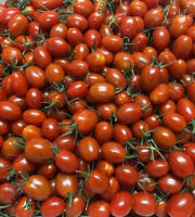 Agriloops - Tomates cerises allongées – Poly 2 kg