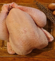 Ferme du Groin à L’Airbe - Poulet entier plein air 2kg