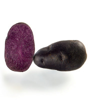 Ferme de Carcouet - Pommes de Terre Nouvelles violettes Bio - 1 kg