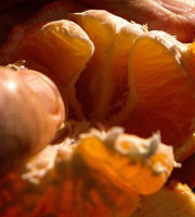 Jardins de la Testa - Clémentine de Corse IGP - 10kg