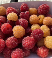 Ferme Sinsac - framboises rouges et jaunes